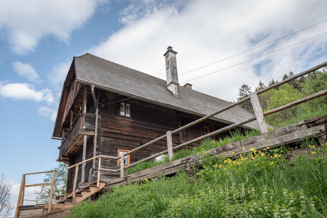 Preggraben Urlaub Auf Der Alm "Deluxe" 빌라 외부 사진
